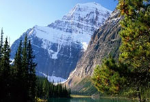 什么化妆品抗皱好