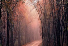 科技新闻热点事件分析,2020最新科技新闻事件素材