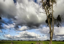 头条新闻统称要闻是什么,头条新闻报道