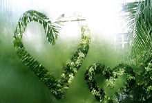 it新闻头像,新闻图片 头条