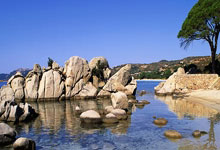 it新闻头条今日新闻热点最新消息,it行业新闻资讯